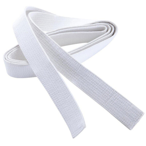 Karate Belt