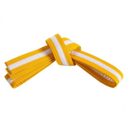 Custom Karate Belt