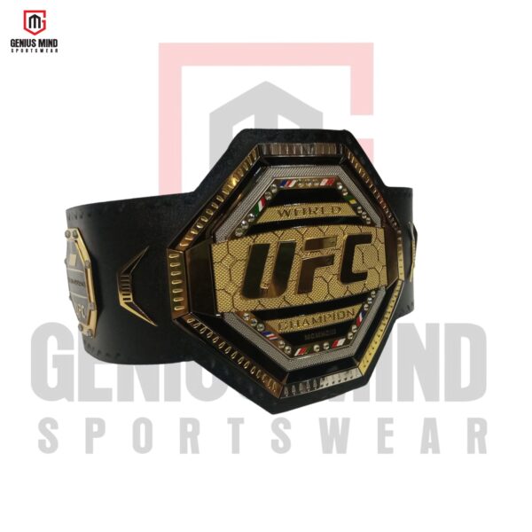 Heavyweight Intercontinental Wrestling Championship Belt 2MM-008 replica with a 2MM brass plate, ideal for collectors and fans.